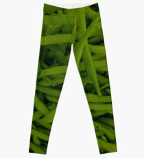 Green Beans Leggings