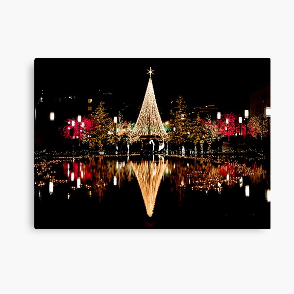 Christmas Reflections Canvas Print