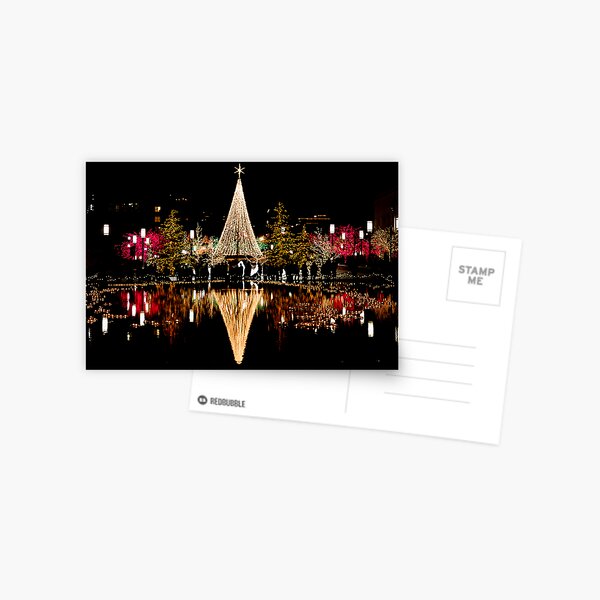 Christmas Reflections Postcard