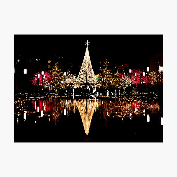 Christmas Reflections Photographic Print