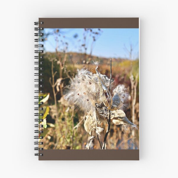 Item preview, End of Milkweed Season designed and sold by Martha Sherman.