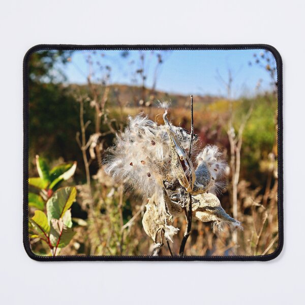 Item preview, End of Milkweed Season designed and sold by Martha Sherman.