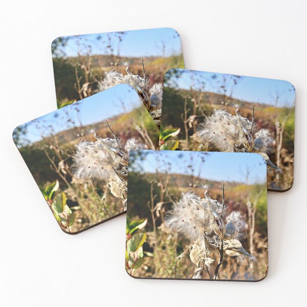 Item preview, End of Milkweed Season designed and sold by Martha Sherman.
