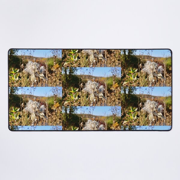 Item preview, End of Milkweed Season designed and sold by Martha Sherman.