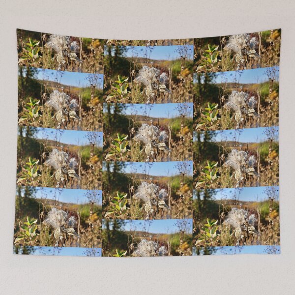 Item preview, End of Milkweed Season designed and sold by Martha Sherman.