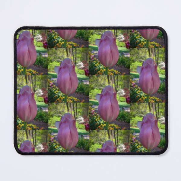 Item preview, Spring Tulip designed and sold by Craig Kauzmann.