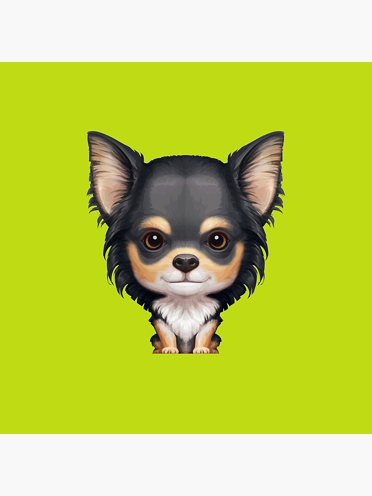 black and tan long haired chihuahua