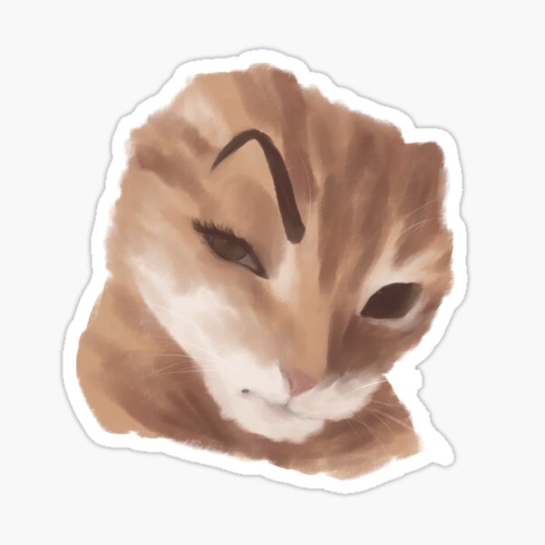 Eyebrow Cat Sticker For Sale By T YDancer Redbubble