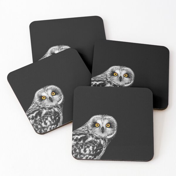 Item preview, Short Eared Owl designed and sold by katepange.