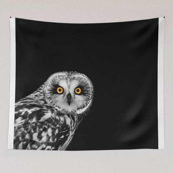 Item preview, Short Eared Owl designed and sold by katepange.