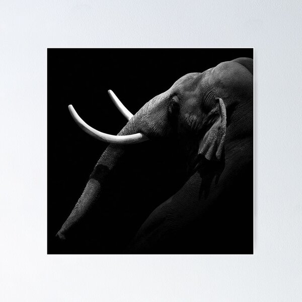Item preview, Portrait of Elephant in black and white designed and sold by katepange.