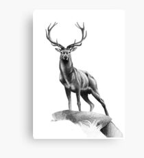 All Muscle - Red Deer Stag Canvas Print