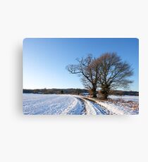 snowy tree Canvas Print