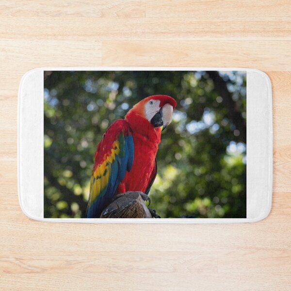 Item preview, Polly Parrot designed and sold by barkeypf.