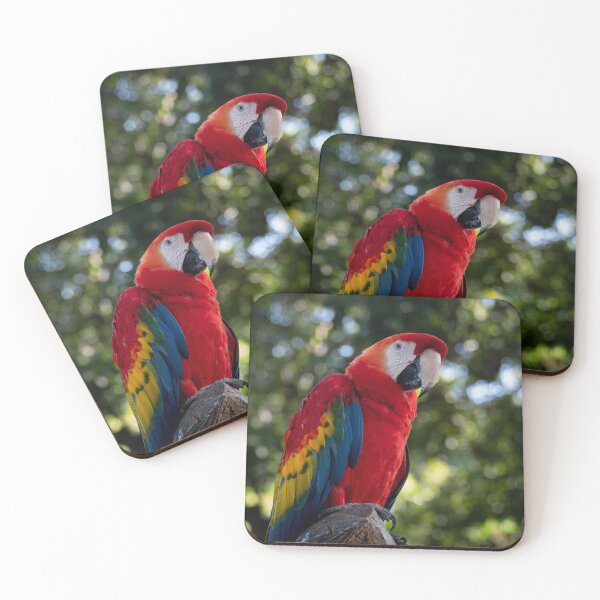 Item preview, Polly Parrot designed and sold by barkeypf.