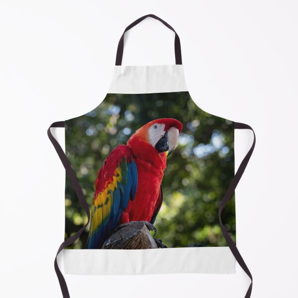 Item preview, Polly Parrot designed and sold by barkeypf.