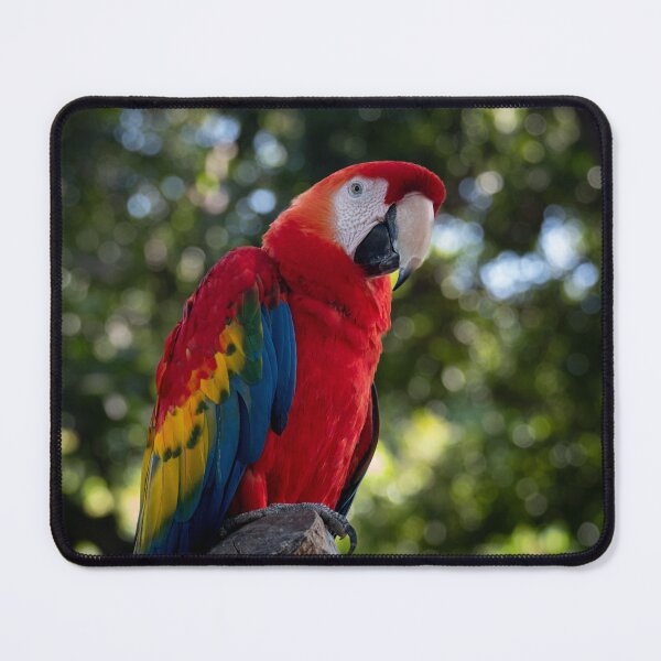 Item preview, Polly Parrot designed and sold by barkeypf.