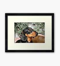 m&d Cooper August Framed Print