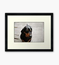 m&d Cooper October Framed Print