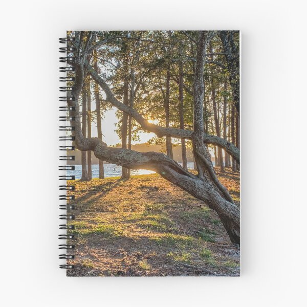 Item preview, Sunset near Lake Lanier designed and sold by Craig Kauzmann.