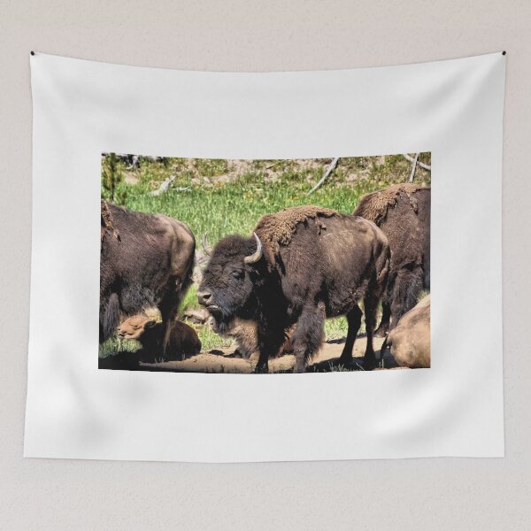 Item preview, Buffalo 3 - Yellowstone National Park designed and sold by jtrommer.