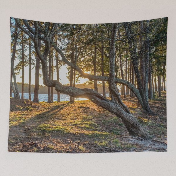 Item preview, Sunset near Lake Lanier designed and sold by Craig Kauzmann.