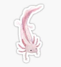 Pink Axolotl Sticker