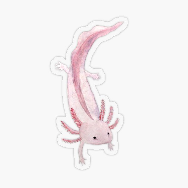 Pink Axolotl Transparent Sticker
