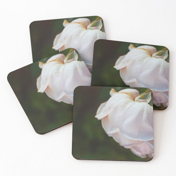 Item preview, Soft Pink Rose Petals  designed and sold by Joy Watson - Natural Light Photography .