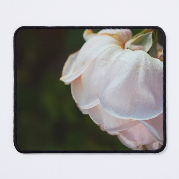 Item preview, Soft Pink Rose Petals  designed and sold by Joy Watson - Natural Light Photography .