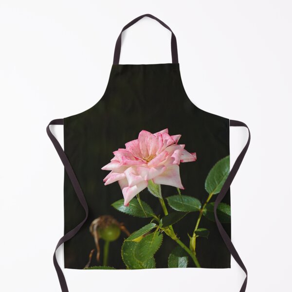 Item preview, Late Morning Pink Carpet Rose designed and sold by Joy Watson - Natural Light Photography .
