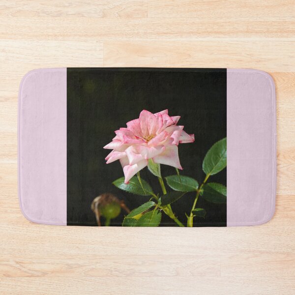 Item preview, Late Morning Pink Carpet Rose designed and sold by Joy Watson - Natural Light Photography .