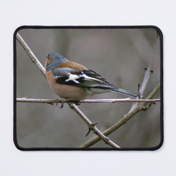 Item preview, perching designed and sold by KathleenDawson.