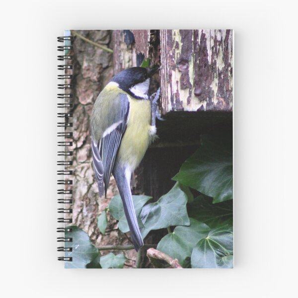 Item preview, perching designed and sold by KathleenDawson.