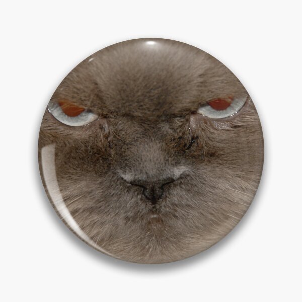 Item preview, My anger counselor pisses me off designed and sold by rbcc.