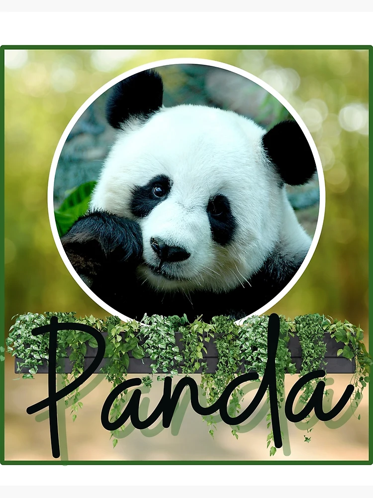 Panda 🐼 (Calendrier 3D)