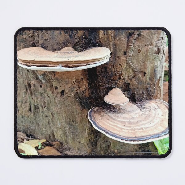 Item preview, Tree Mushroom Photography designed and sold by vibeno1.