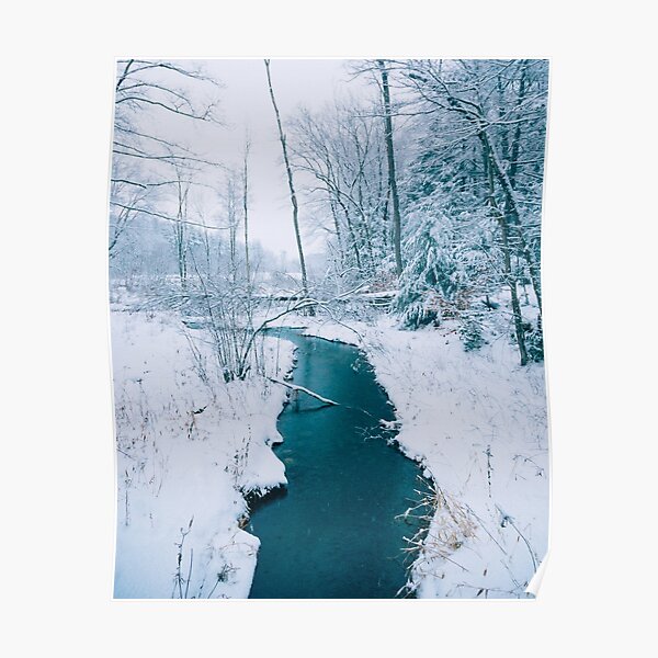 Winter Blues Poster