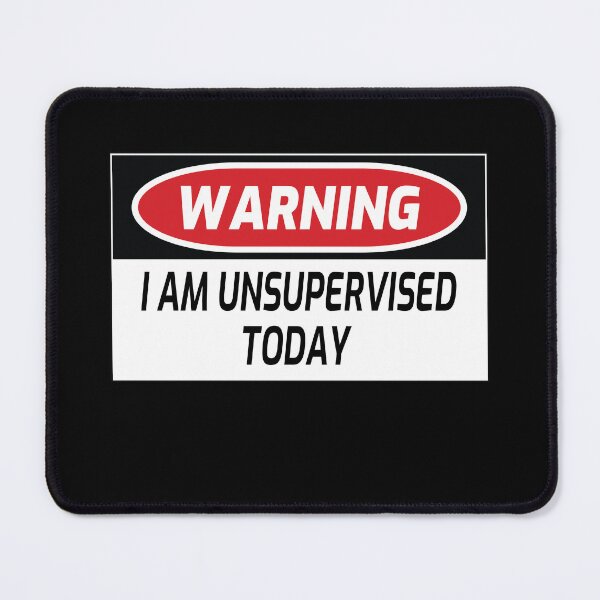 Item preview,  Warning I Am Unsupervised Today designed and sold by jojosign.