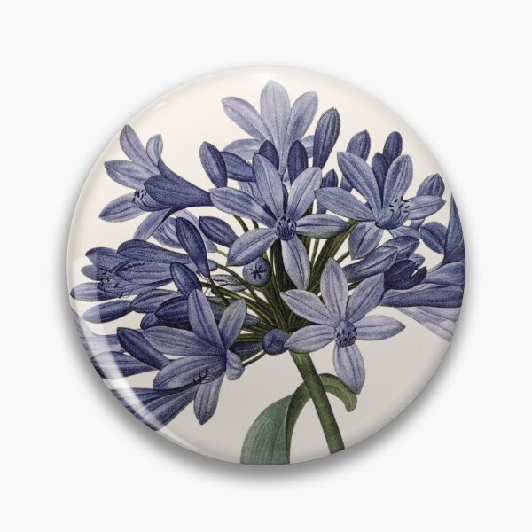 Item preview, Agapanthus Umbellatus | Agapanthe en Ombelle | Pierre-Joseph Redouté designed and sold by LaMadeleine.