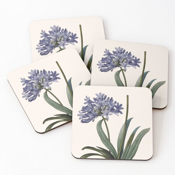 Item preview, Agapanthus Umbellatus | Agapanthe en Ombelle | Pierre-Joseph Redouté designed and sold by LaMadeleine.