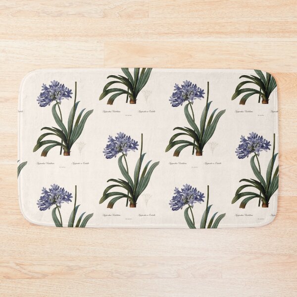 Item preview, Agapanthus Umbellatus | Agapanthe en Ombelle | Pierre-Joseph Redouté designed and sold by LaMadeleine.