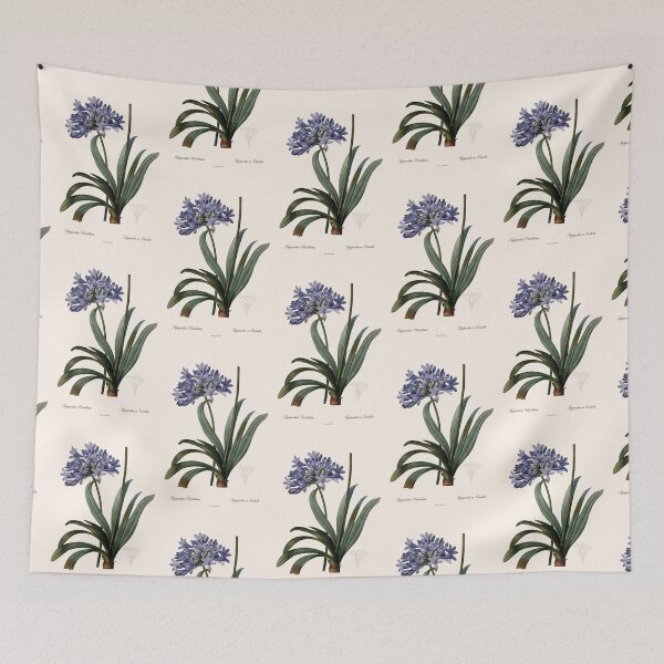 Item preview, Agapanthus Umbellatus | Agapanthe en Ombelle | Pierre-Joseph Redouté designed and sold by LaMadeleine.