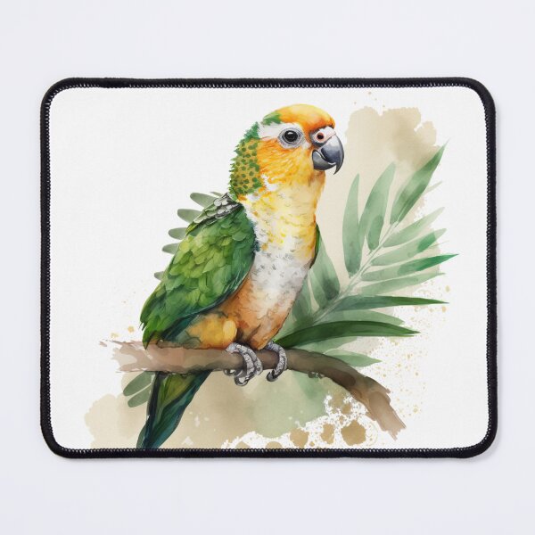 Item preview, white bellied caique ? designed and sold by khaledahmed6249.
