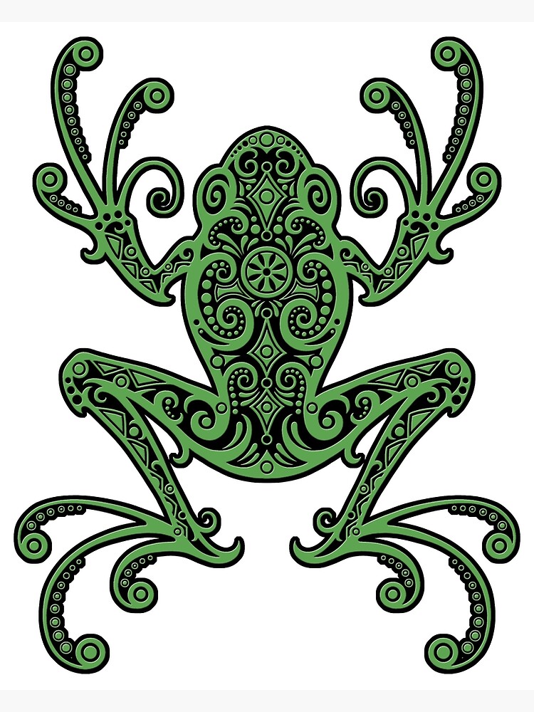 Intricate Green and Black Tree Frog