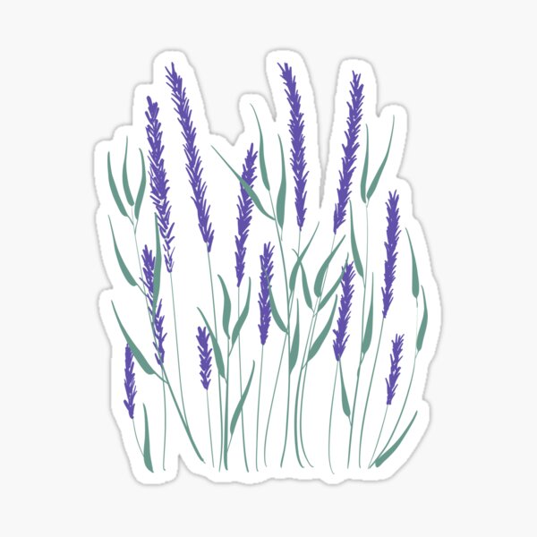 Artikel-Vorschau von Lavendel, designt und verkauft von Maria Monid.