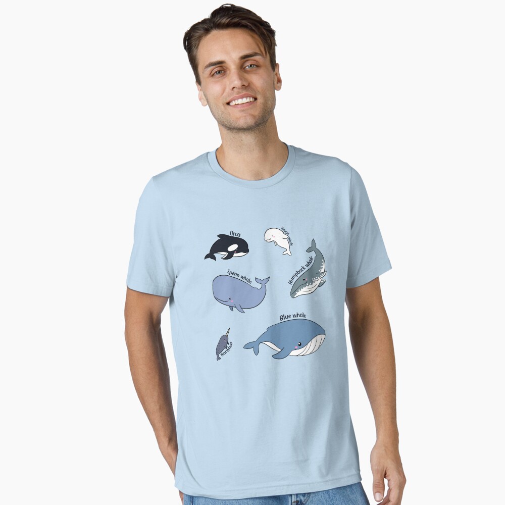 Cute Whales pack blue Whale orca humpback whale narwhal sperm - Main Image