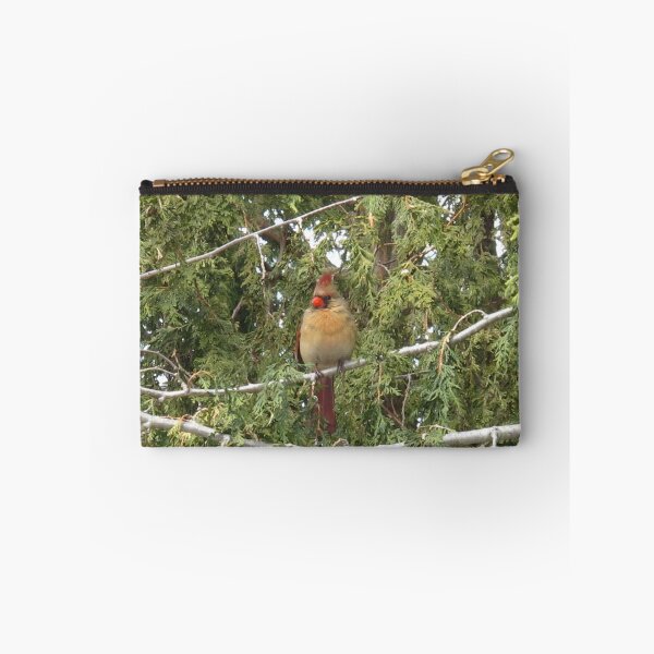 Item preview, Claudia the Cardinal designed and sold by MarianBendeth.