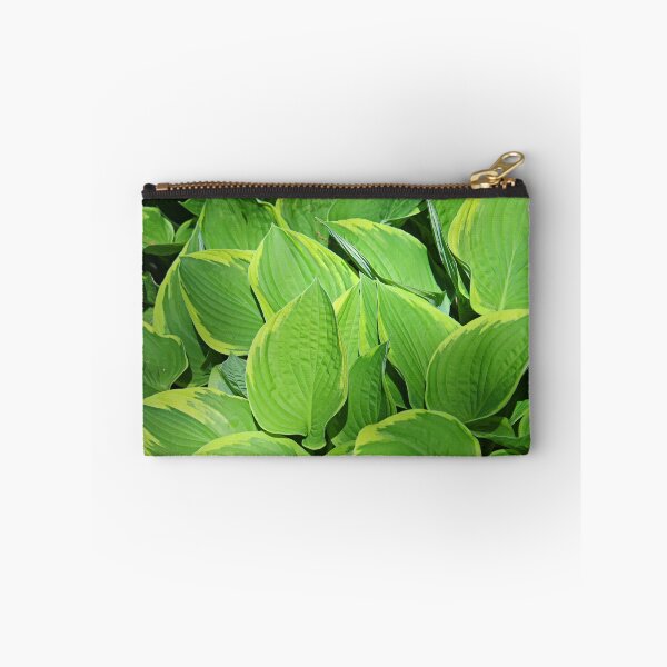 Aperçu de l'œuvre Hosta Plantaginea créée et vendue par Michiale.