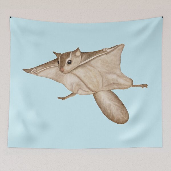 Item preview, Flying Squirrel Sticker Artwork designed and sold by BaristaHero.